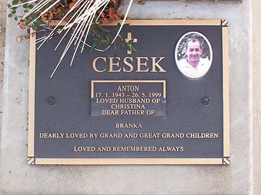 ANTON CESEK