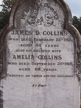 AMELIA COLLINS