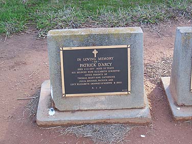 PATRICK D'ARCY
