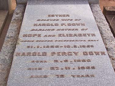 HAROLD PERCY DOWN