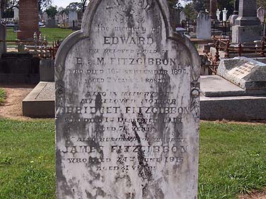 EDWARD FITZGIBBON