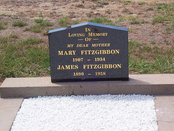 JAMES FITZGIBBON