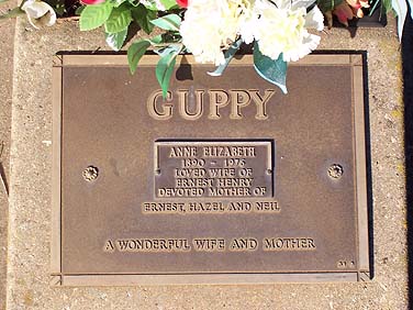 ANNE ELIZABETH GUPPY