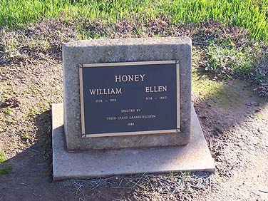 ELLEN HONEY