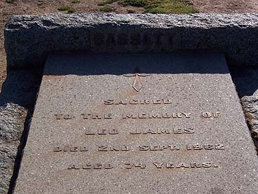 LEO JAMES BASSETT