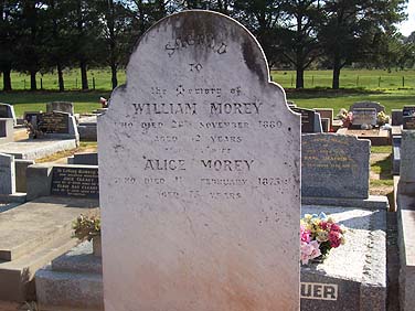 WILLIAM MOREY