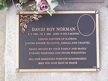 DAVID RAY NORMAN