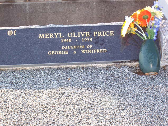 MERYL OLIVE PRICE