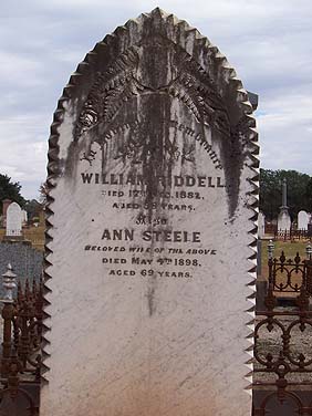 ANN STEELE RIDDELL