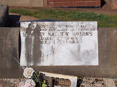 STANLEY MATHEW ROBINS