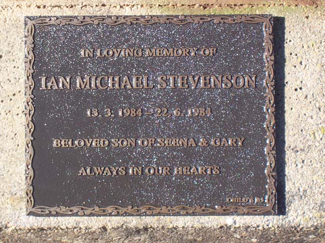 IAN MICHAEL STEVENSON