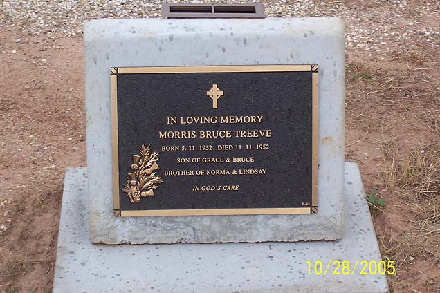 MORRIS BRUCE TREEVE