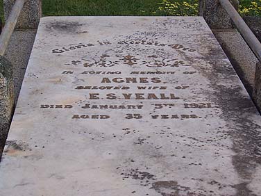 AGNES AUGUSTA VEALL