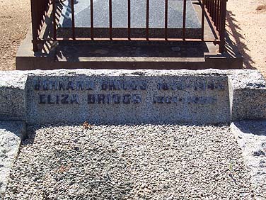 BERNARD BRIGGS