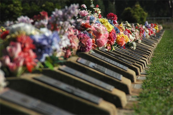 Benalla Cemetery, The Lawn