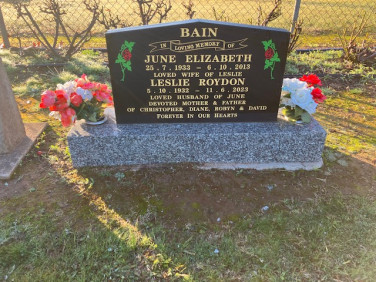 LESLIE ROYDON BAIN