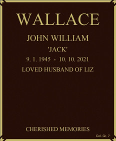 JOHN WILLIAM WALLACE