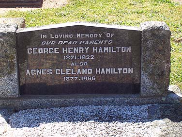 GEORGE HENRY HAMILTON
